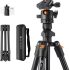 K&F Concept 64 inch/163cm Camera Tripod,Lightweight Travel Outdoor DSLR Tripods with 360 Degree Ball Head Load Capacity 8kg/17.6lbs,Cellphone Clip for Smartphone Live Streaming Vlog K234A0+BH-28L